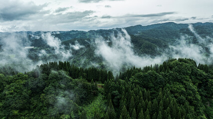 Obraz premium ドローン写真：霧がかった、雨天時の夏の山