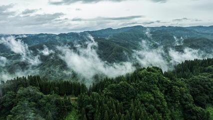 ドローン写真：霧がかった、雨天時の夏の山