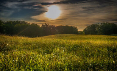 Obraz premium Późne lato na łące