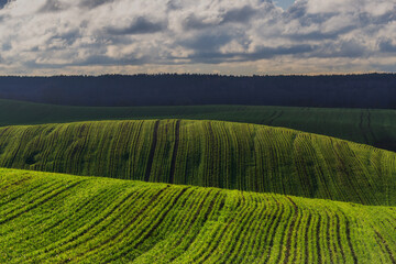 Wiosenne wzgórza © Robert