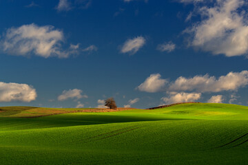 Pomorski krajobraz © Robert