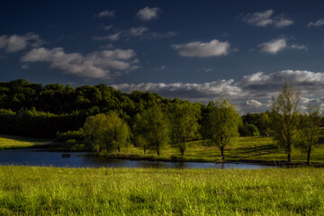 Obraz premium Łąka