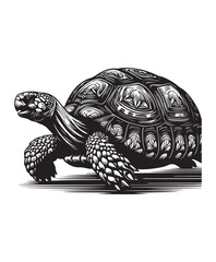 tortoise vector art,graphics tortoises icons set,vintage illustration tortoise clipart,vector tortoises flat style artwork design
