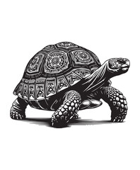 tortoise vector art,graphics tortoises icons set,vintage illustration tortoise clipart,vector tortoises flat style artwork design
