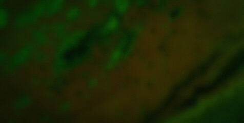 Dive into the Lively Psychedelic Patterns and Get Lost in an Abstract Masterpiece of Colors and Shapes
