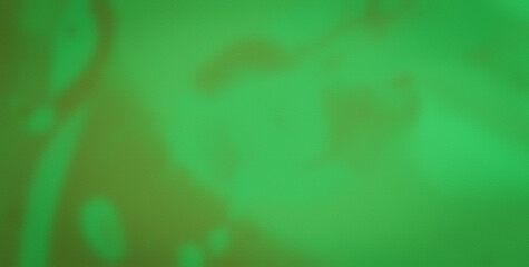 Dive into the Lively Psychedelic Patterns and Get Lost in an Abstract Masterpiece of Colors and Shapes
