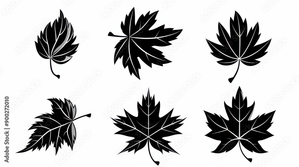 Poster stylish and simple maple leaf icons set in black, perfect for various design projects on a clean whi