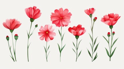 A soft, elegant watercolor display featuring Gaillardia flowers, perfect for natureinspired decor and artistic projects.