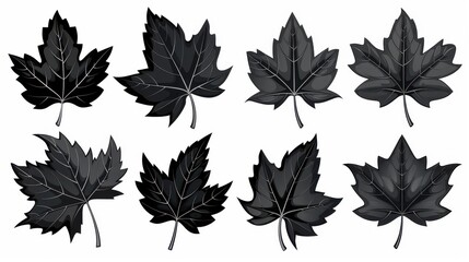 Obraz premium Stylish and simple maple leaf icons set in black, perfect for various design projects on a clean white background.