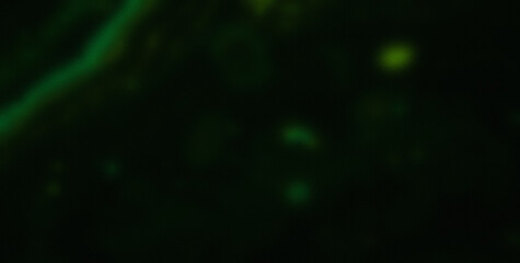 Dive into the Lively Psychedelic Patterns and Get Lost in an Abstract Masterpiece of Colors and Shapes
