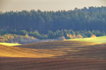 Jesień © Robert