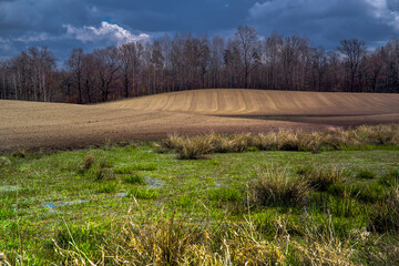 Obraz premium Przedwiośnie