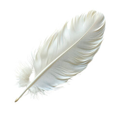 Fototapeta premium White feather isolated on black background.