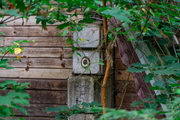 Ruined abandoned resort, holiday resort by the lake in the middle of the forest in summer. decaying damaged wooden and brick holiday cottages. old holiday times. green summer forest. electrical switch