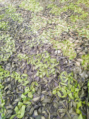 Weaving camouflage nets. Protective green textile background made of multi color ribbons. Military hand woven camouflage net. Weaving from agrofiber. Netting