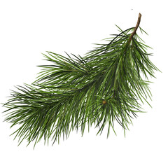 Fototapeta premium Fluffy fir branches. Green Christmas pine branch. Watercolor illustration in digital format. Christmas tree. Pine. Isolated composition on a white background for New Year and Christmas.