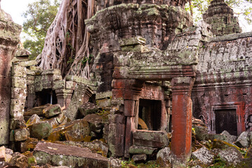 Fototapeta premium Angkor Thom, ancient temple ruins in Cambodia jungle with tree roots