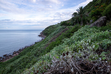 view of the coast of the sea Vietnam