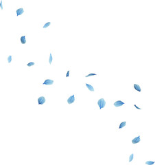 blue cherry blossom © Arasigner