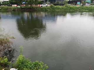 Obraz premium reflex on river