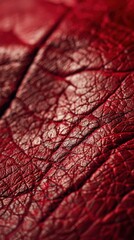 Close-Up of Red Leather Material With Intricate Textures and Patterns