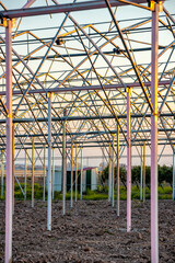 Fototapeta premium structure or frame of a greenhouse