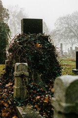 ivy covering a gravestone in a graveyard