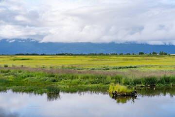 Potter Marsh Wildlife Viewing Boardwalk, Anchorage, Alaska