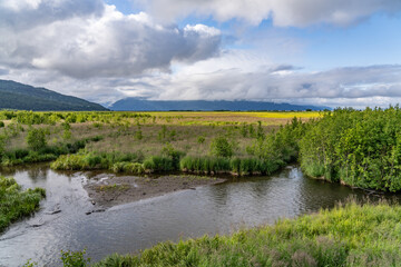 Potter Marsh Wildlife Viewing Boardwalk, Anchorage, Alaska