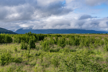 Potter Marsh Wildlife Viewing Boardwalk, Anchorage, Alaska
