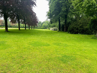 Obraz premium Picturesque view of trees and green grass in park