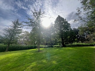 Picturesque view of park with trees in summer