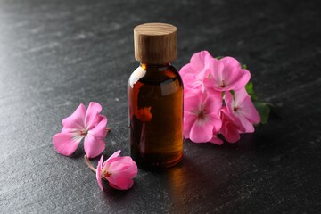 Bottle of geranium essential oil and beautiful flowers on black table, closeup