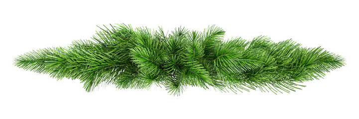 Christmas tree branches  in 3d rendering isolated on transparent