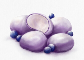 Digital watercolor illustration of purple mochi and blueberries. Food illustration. Watercolor texture. Idea for menus, postcards, print, sketchbook, etc.
