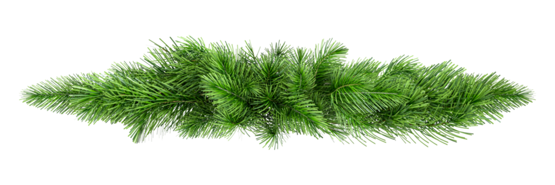 Christmas tree branches  in 3d rendering isolated on transparent