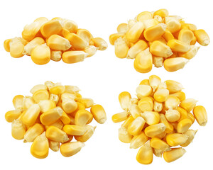 Corn Seed isolated on white background, full depth of field
