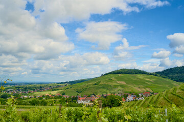 Obraz premium Aerial view of Neuweier wine village near Baden Baden, showcasing vineyards and landscape on a sunny day