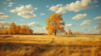 Fototapeta premium Autumn Landscape with Golden Trees and Blue Sky in Scenic Countryside