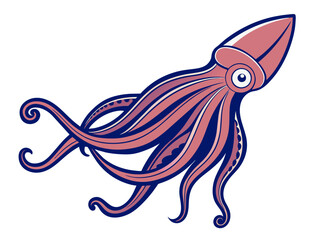 Squid isolated on white. Cartoon style vector illustration.