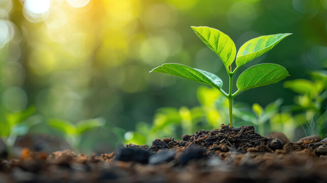 Analyze the benefits of socially responsible investing.