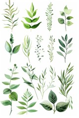 A watercolor clipart collection of various green leaves and plants, in soft greens on white background