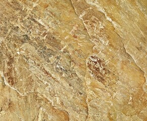 Natural texture for skin tile wallpaper luxurious background