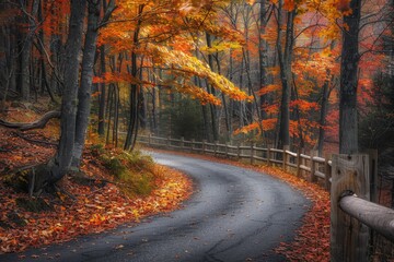 Obraz premium Serene Autumn Forest Path with Vibrant Foliage and Curving Road