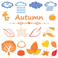 Set of autumn icon isolated on white background.  Nature. Environment. Fall leaves. Closeup season leaf, yellow orange and green leraves, bright autumn trees. Vector illustration 