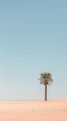 Obraz premium Minimalism art of a palm tree alone in the moroccan desert