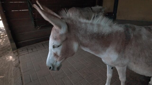 Das ganzen tag in ruhe.