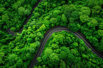 An aerial view of a winding road through a dense lush green forest