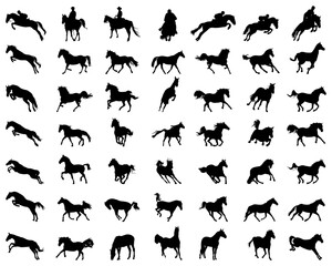 Big set of horses silhouettes on the white background