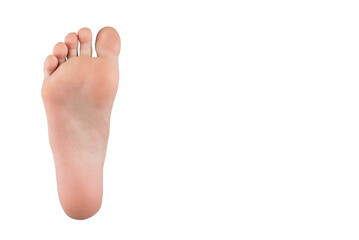 one foot isolated on white background.Beautiful neat foot.